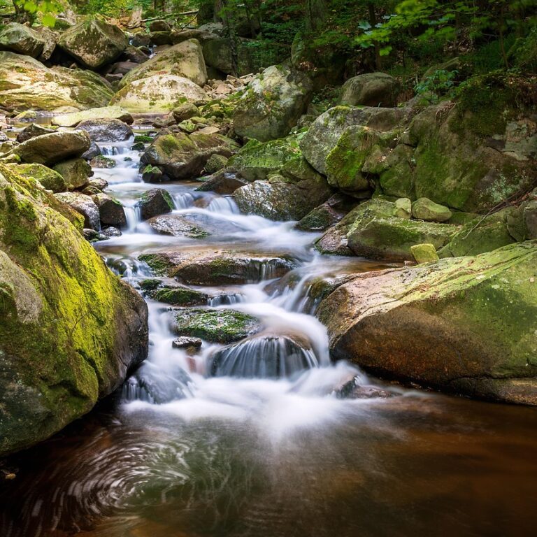 Harz Thale